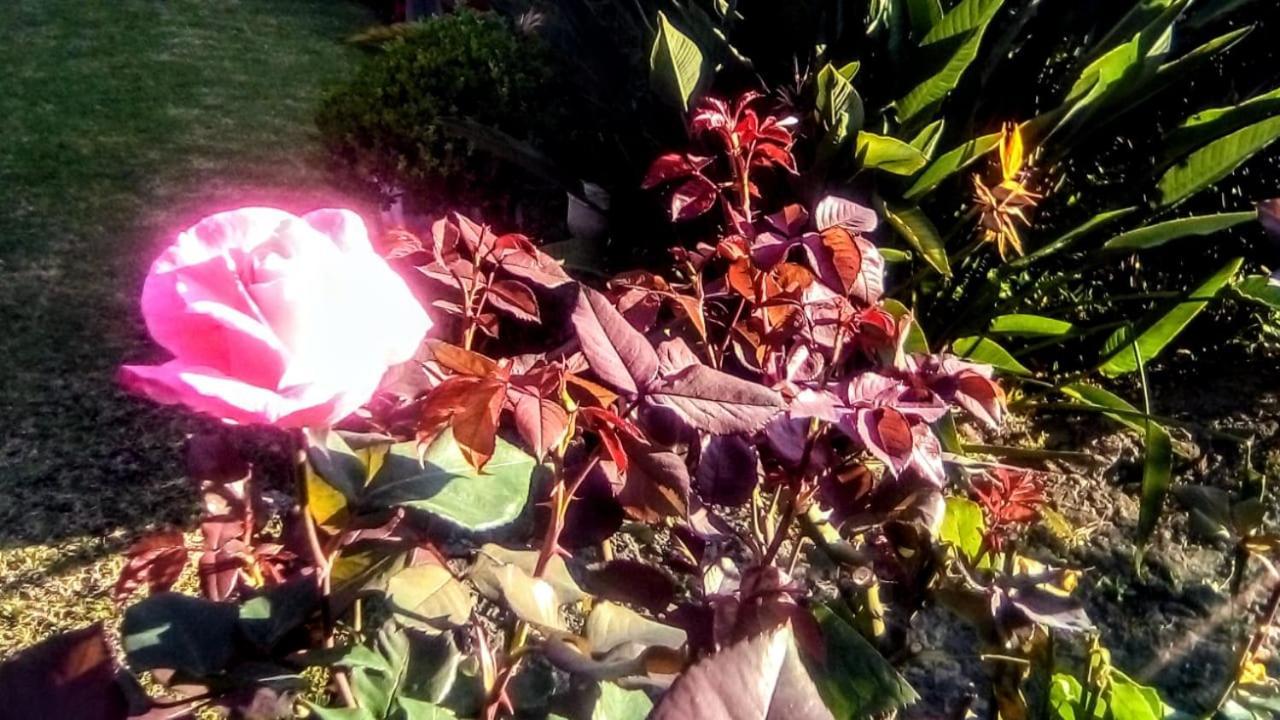 Hotel Quinta Del Sol Tepoztlán Kültér fotó